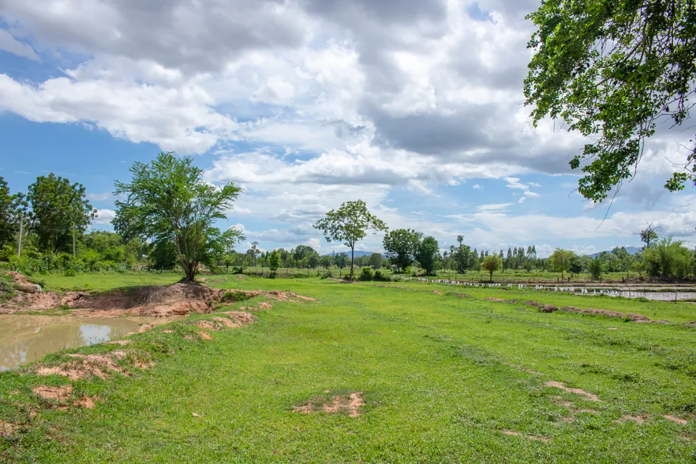 Vacant commercial land property in Beaverton, OR