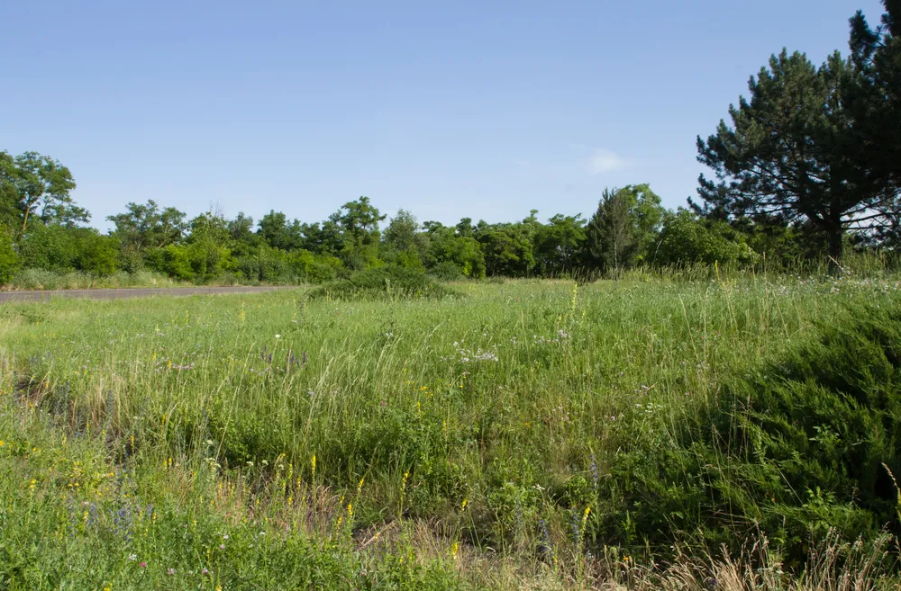 Vacant commercial lot property in Cleburne, TX